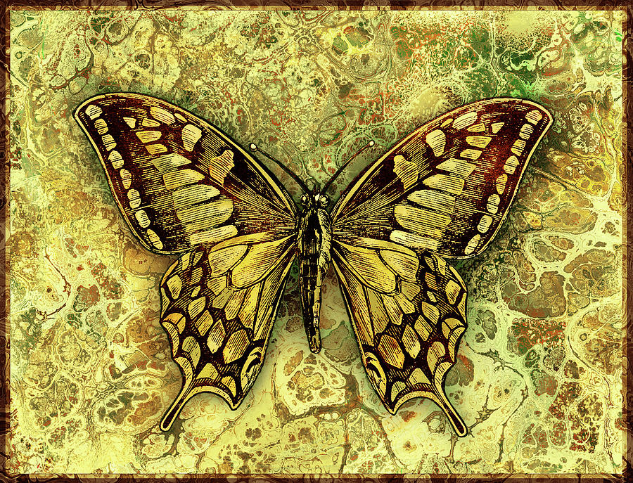 Butterfly in Gold-amber collection Digital Art by Grace Iradian