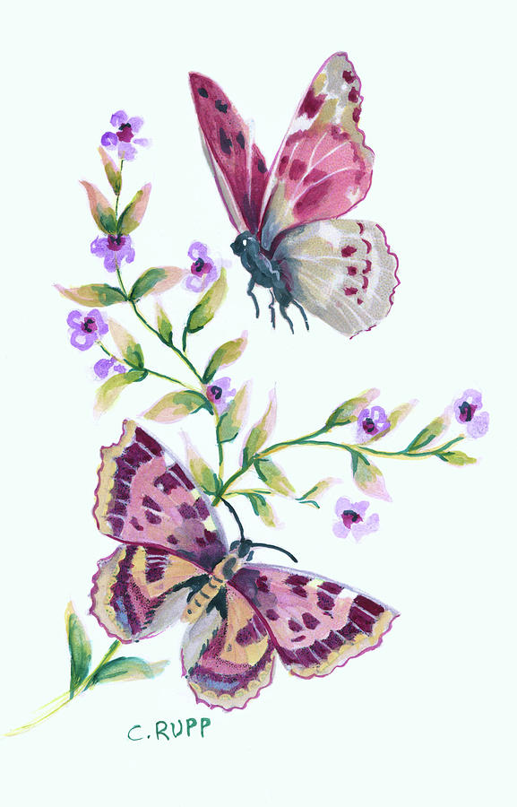 Insects Painting - Butterfly In Lilac by Carol J Rupp