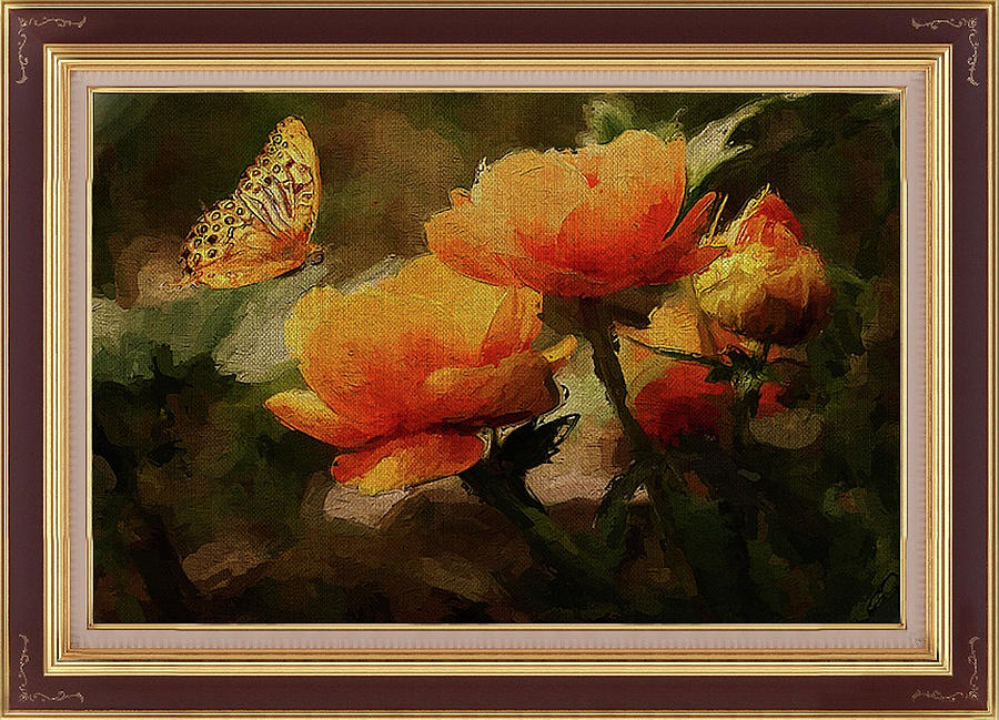 Butterfly Inspects Rare Orange Paeonies Mixed Media by Clive Littin ...