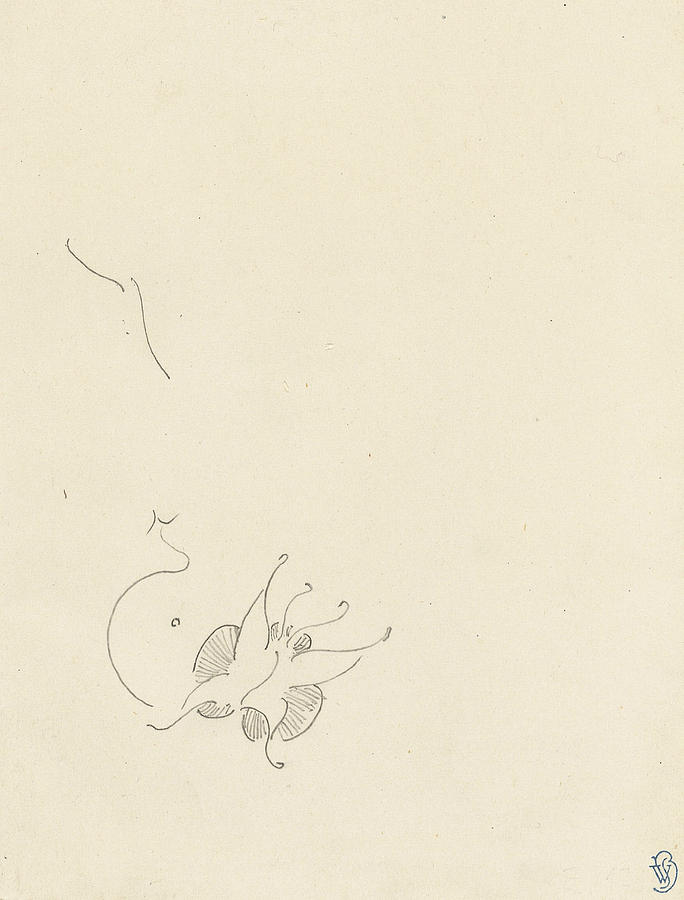 Butterfly Drawing by James Abbott McNeill Whistler