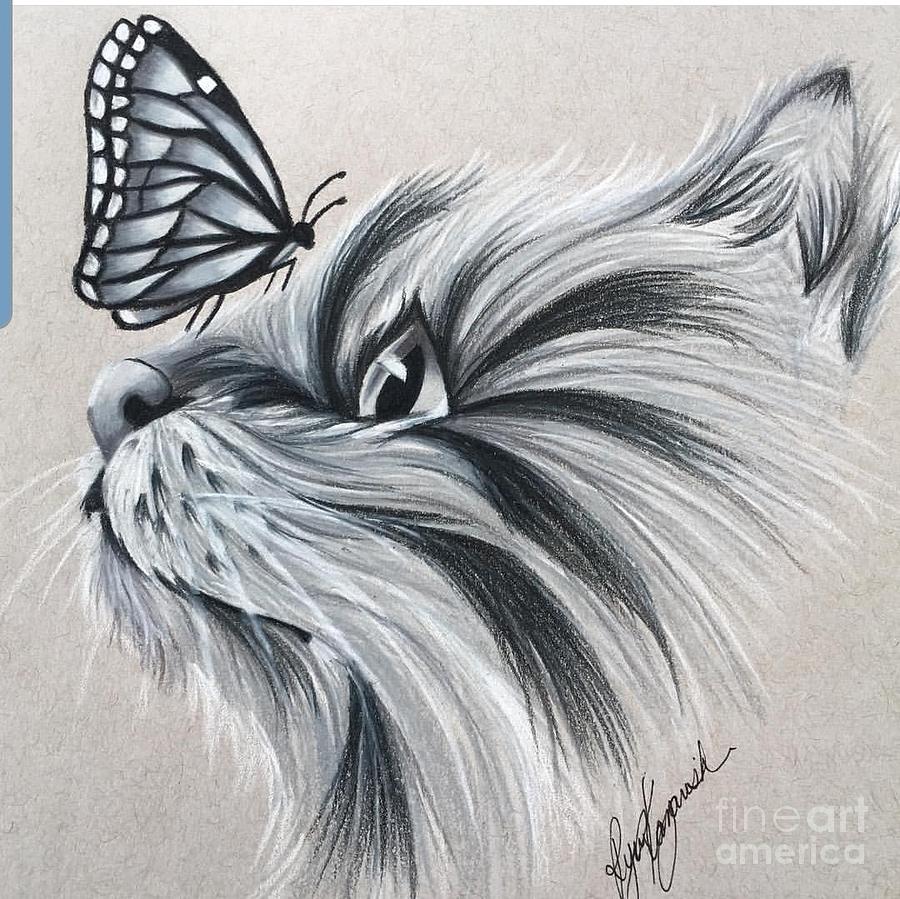 Charcoal sketch of cat and butterfly | Simple cat drawing, Cat sketch,  Charcoal art