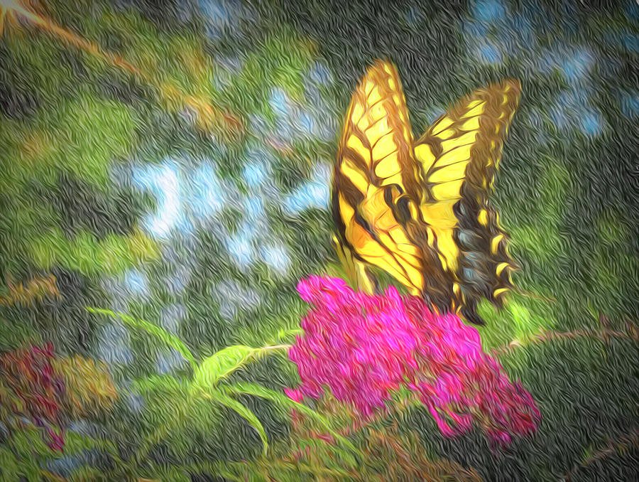 Butterfly Likeness Photograph