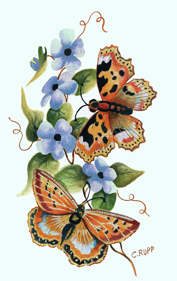 Insects Painting - Butterfly On Blue by Carol J Rupp