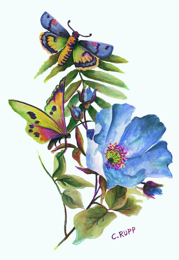 Butterfly Painting - Butterfly On Blue Poppy by Carol J Rupp