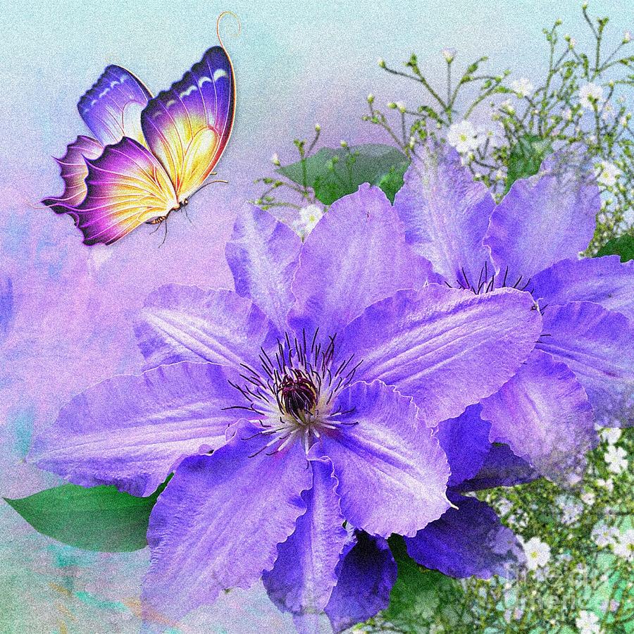 Butterfly on Clematis by Morag Bates Butterfly on Clematis by Morag Bates