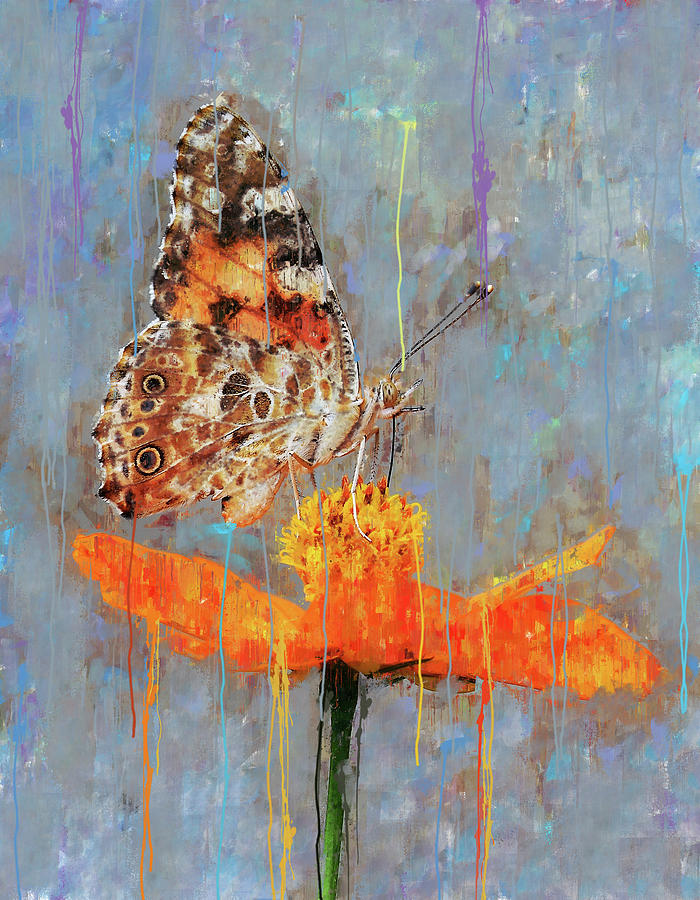 For Example Painting -  Butterfly On Orange Petaled Flower by Rani S Manik