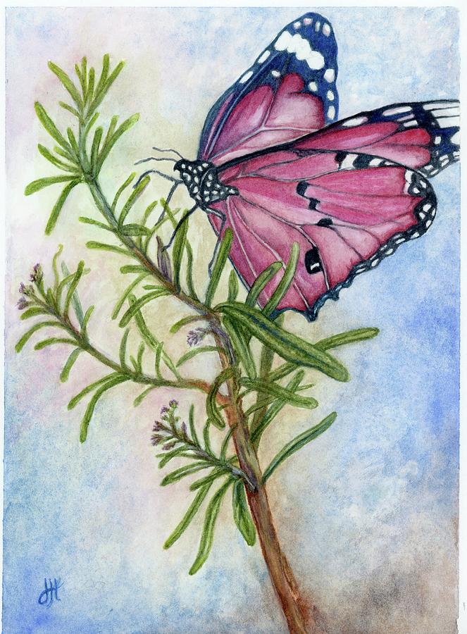 Butterfly on Rosemary Painting by Jodi Higgins