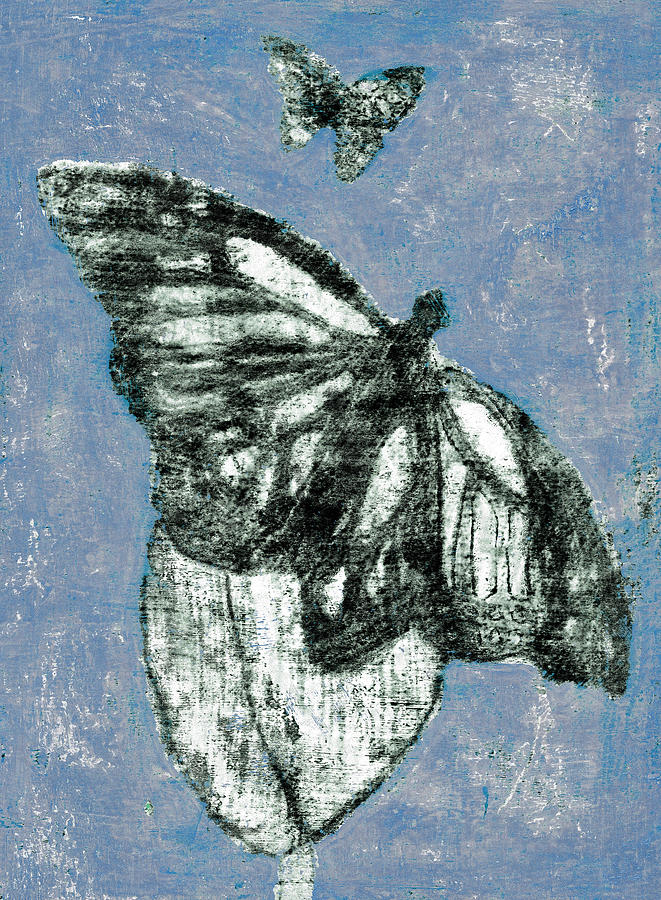 Butterfly Overcast Weather 1 Digital Art by Edgeworth Johnstone