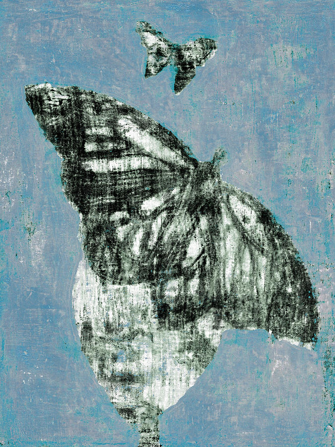 Butterfly Overcast Weather 2 Digital Art by Edgeworth Johnstone