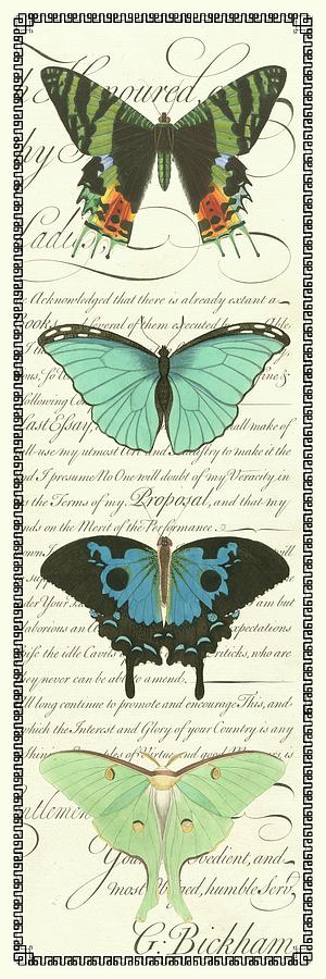 Vintage Painting - Butterfly Prose Panel II by Vision Studio