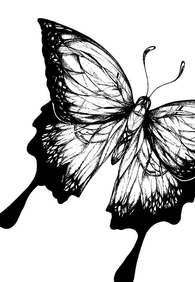 Betterfly Drawing / Butterfly Drawing By Red Cheetah Drawize Gallery ...