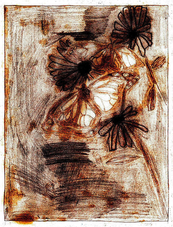Butterfly scratch sketch 10 Drawing by Edgeworth Johnstone