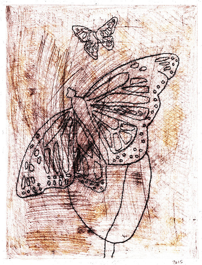Butterfly scratch sketch 13 Drawing by Edgeworth Johnstone