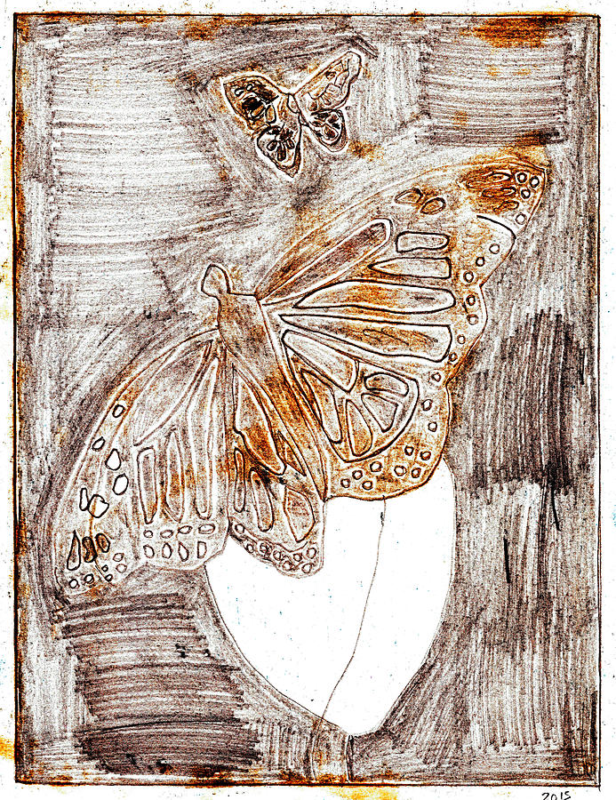 Butterfly scratch sketch 2 Drawing by Edgeworth Johnstone