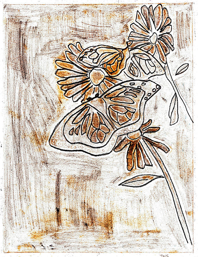 Butterfly scratch sketch 4 Drawing by Edgeworth Johnstone