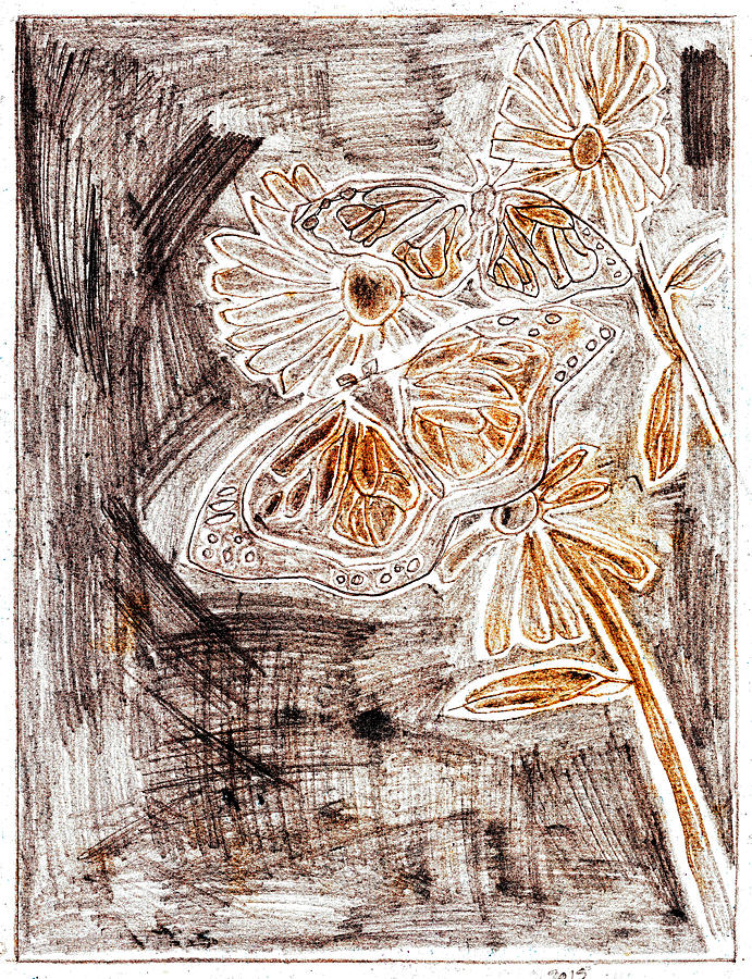 Butterfly scratch sketch 5 Drawing by Edgeworth Johnstone