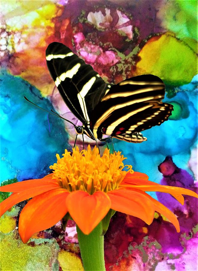 Butterfly Snacktime Mixed Media by Mary Poliquin - Policain Creations