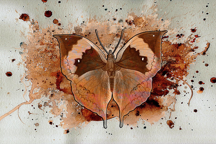 Butterfly Splash by Jacqui Boonstra Butterfly Splash by Jacqui Boonstra
