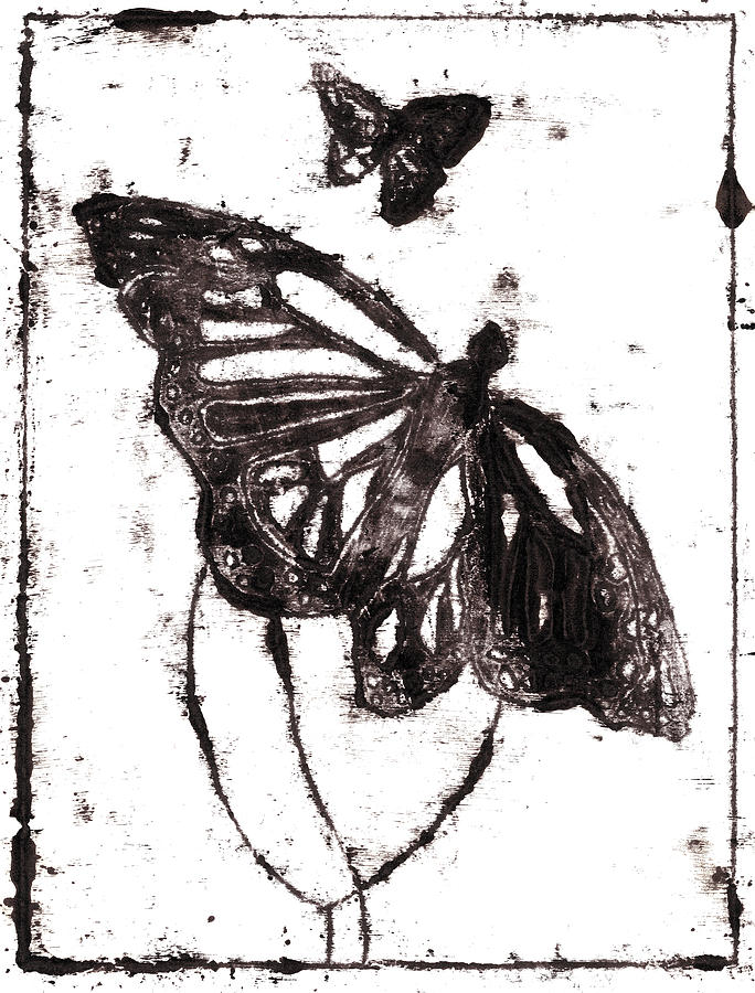 Butterfly starter drawing 5 Drawing by Edgeworth Johnstone