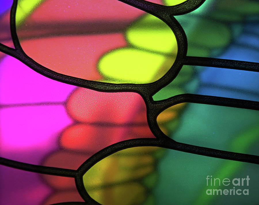 Butterfly Wing Staind Glass Abstract Photograph