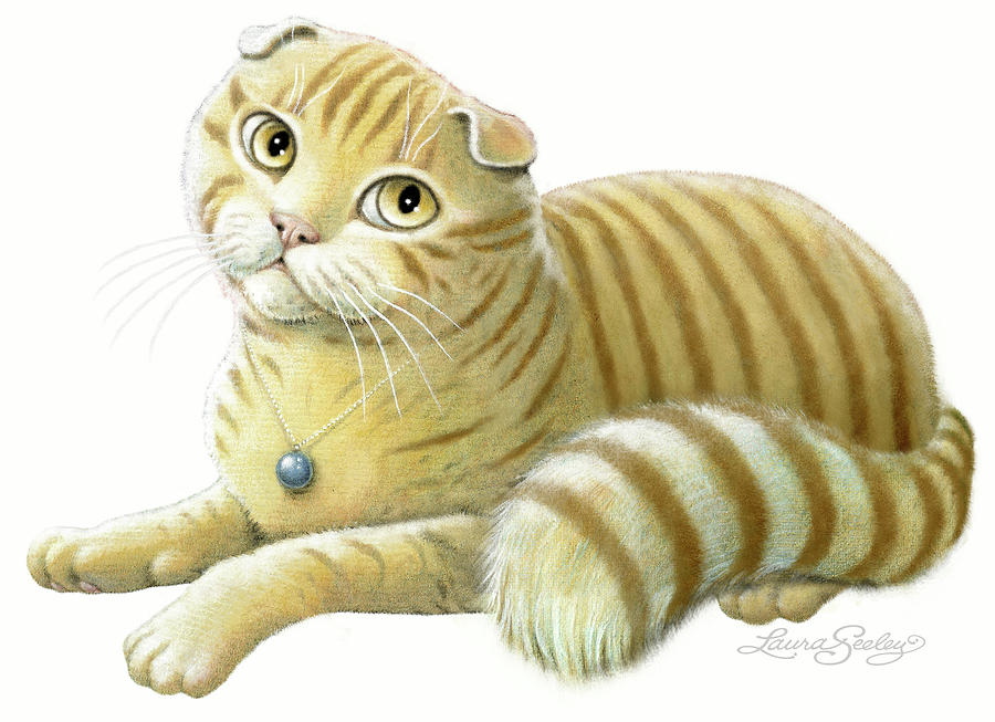 Cat Painting - Butterscotch  by Laura Seeley