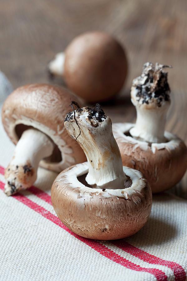Button Mushrooms On A White Tea Towel Photograph by Hilde Mche
