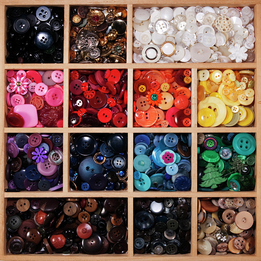 Button Tray Photograph by Lisa Stokes