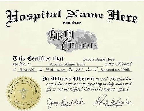 Buy Fake Birth Certificate Digital Art By Bestpassports Online