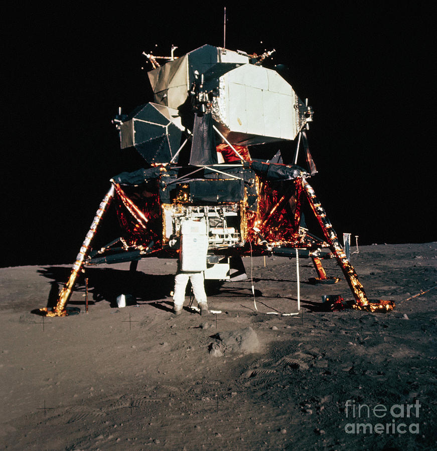 Buzz Aldrin Working With Lunar Module Photograph by Bettmann