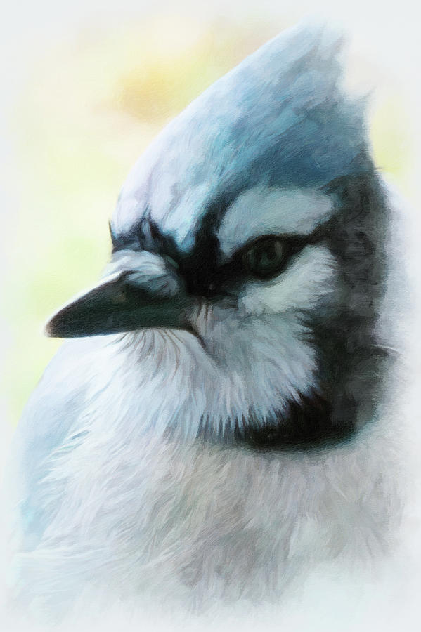 Buzz Two Point O - Portrait Of A Blue Jay Photograph by Leslie Montgomery