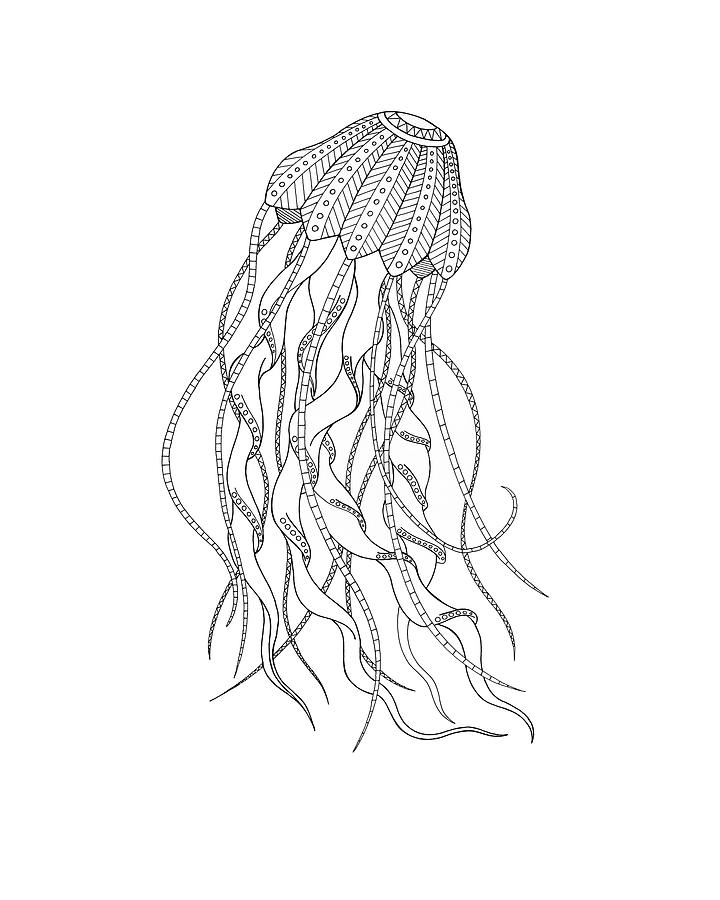 Bw Jellyfish Digital Art by Drawpaint Illustration - Pixels