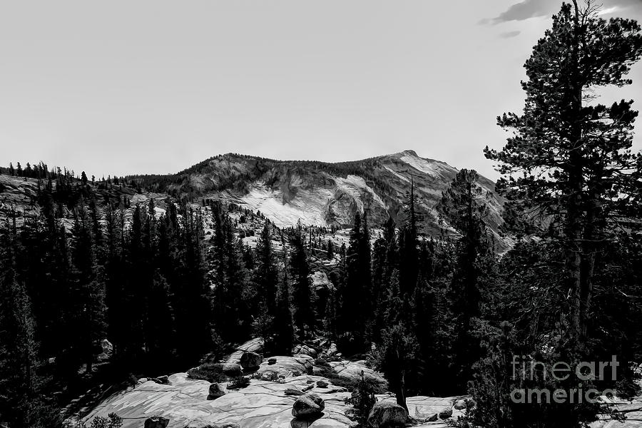 BW Landscape Mountains Yosemite  Photograph by Chuck Kuhn