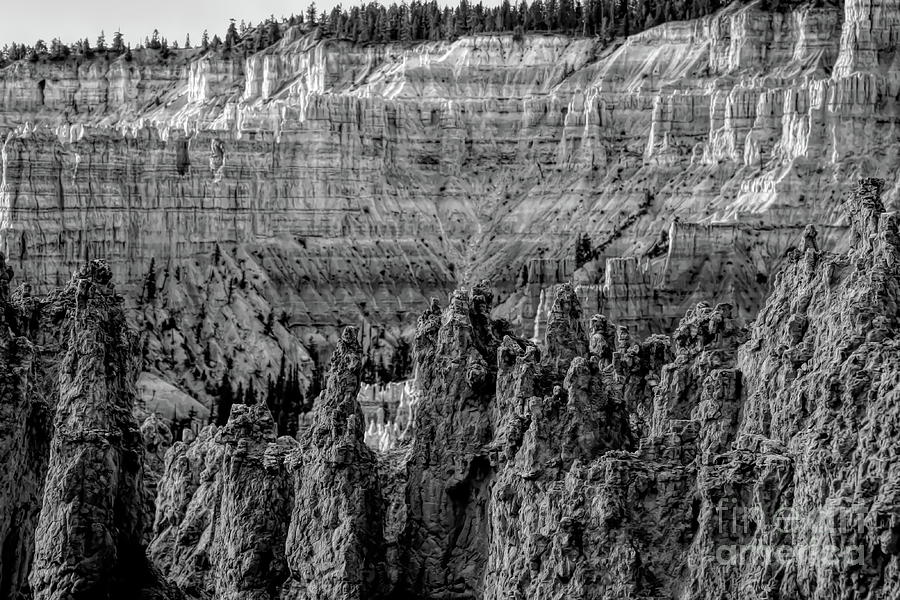 BW National Park Utah  Photograph by Chuck Kuhn