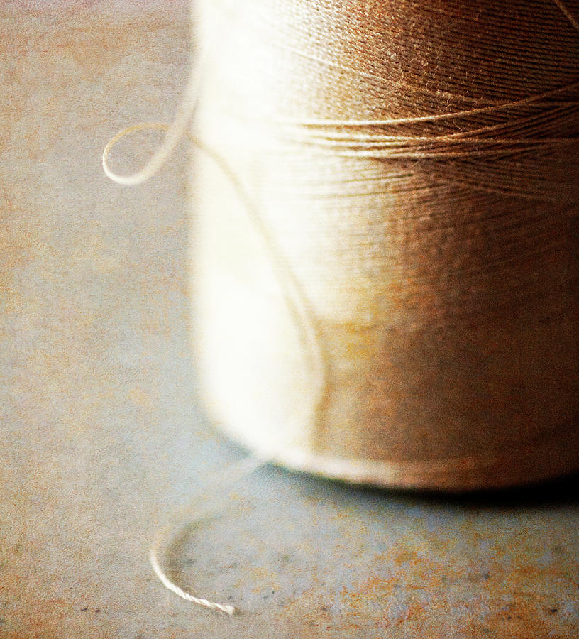 By A Thread Photograph - By A Thread by Jessica Rogers