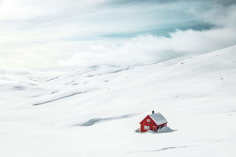 Winter Photograph - By Myself by Evelina Kremsdorf