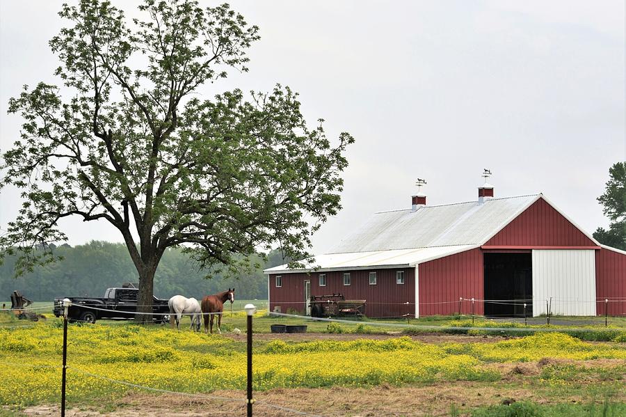 By the Barn by Kim Bemis By the Barn by Kim Bemis