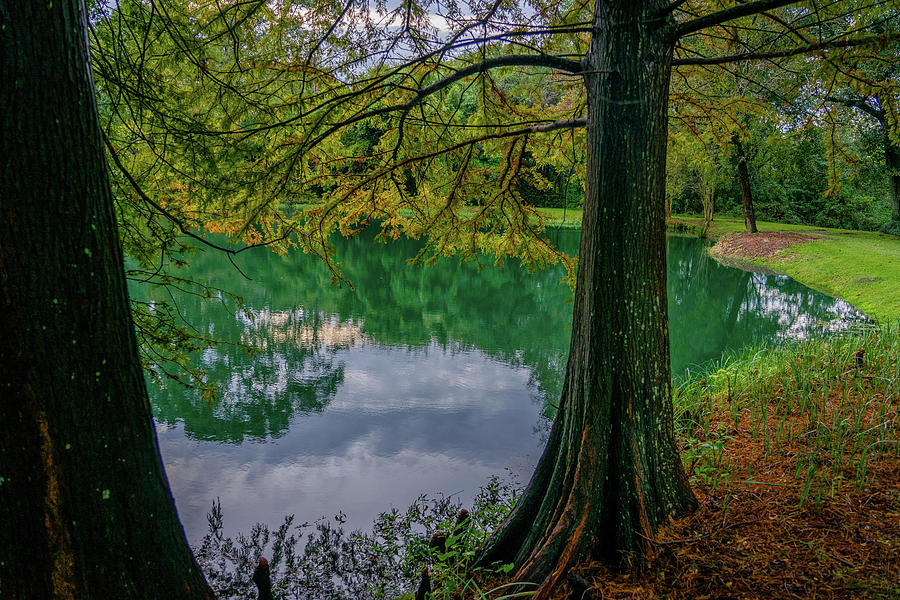 By the Green Pond Photograph by DiGiovanni Photography