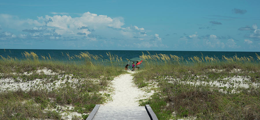 By the Sea by Liz Keeler By the Sea by Liz Keeler