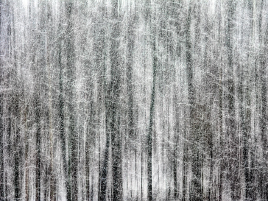 Abstract Photograph - C and O Towpath Blizzard by Francis Sullivan