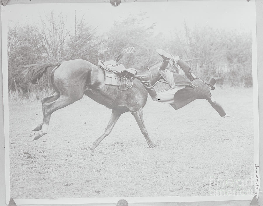 C. F. Collins Falling From His Horse Photograph by Bettmann