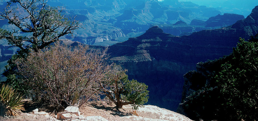 C- Grand Canyon Photograph by Gordon Semmens