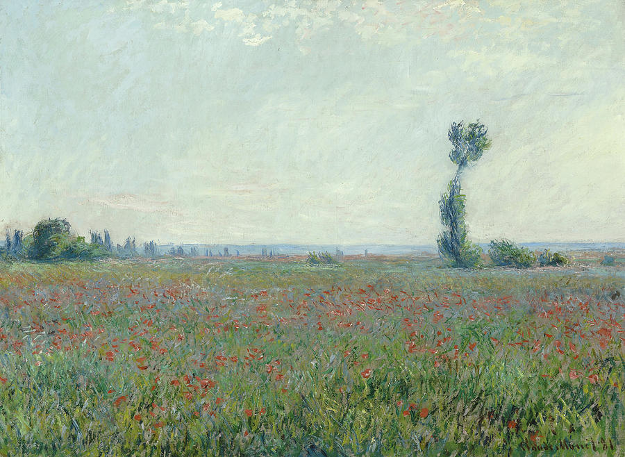 C. Monet, Poppy Field, 1881 by AKG Images C. Monet, Poppy Field, 1881 by AKG Images