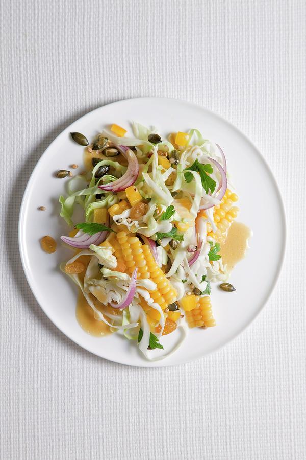 Pumpkin Photograph - Cabbage And Sweetcorn Salad With Raisins And Pumpkin Seeds by Danny Lerner