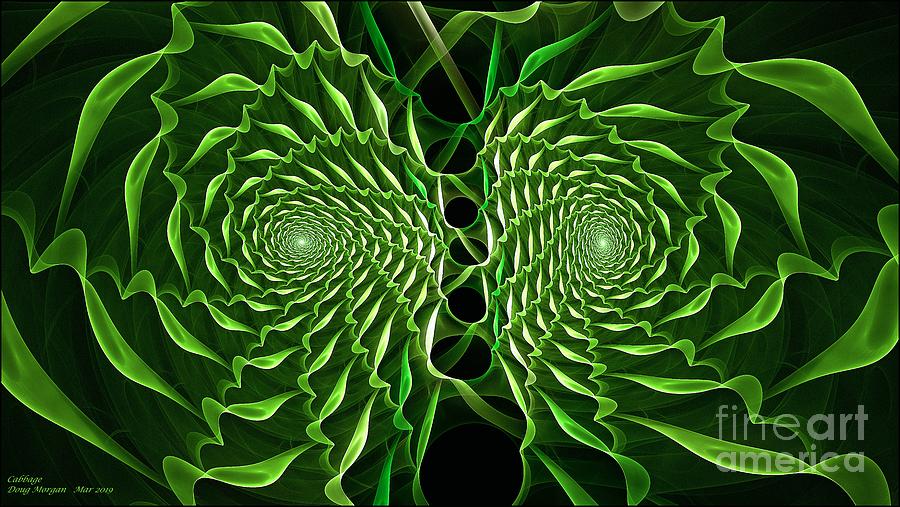 Cabbage Digital Art by Doug Morgan