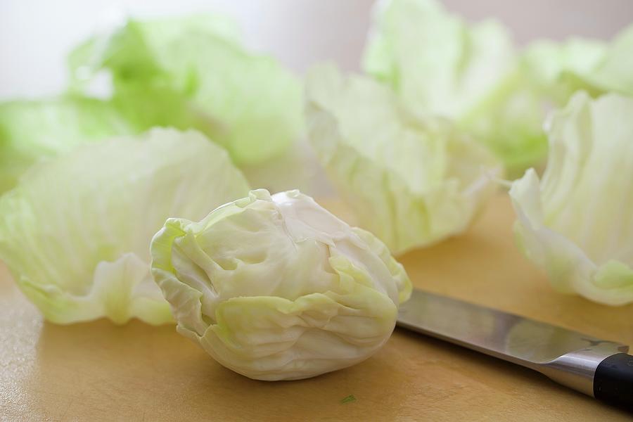 Cabbage Leaves Photograph by Yelena Strokin