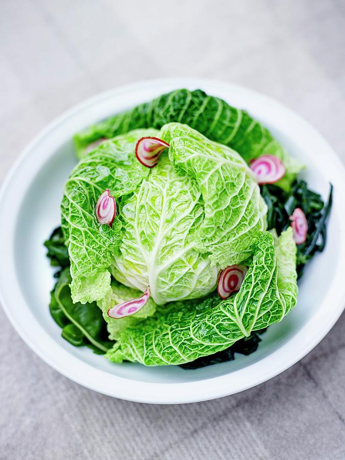 Cabbage With Beetroot, Seaweed And Swiss Chard Greens Photograph by Amiel