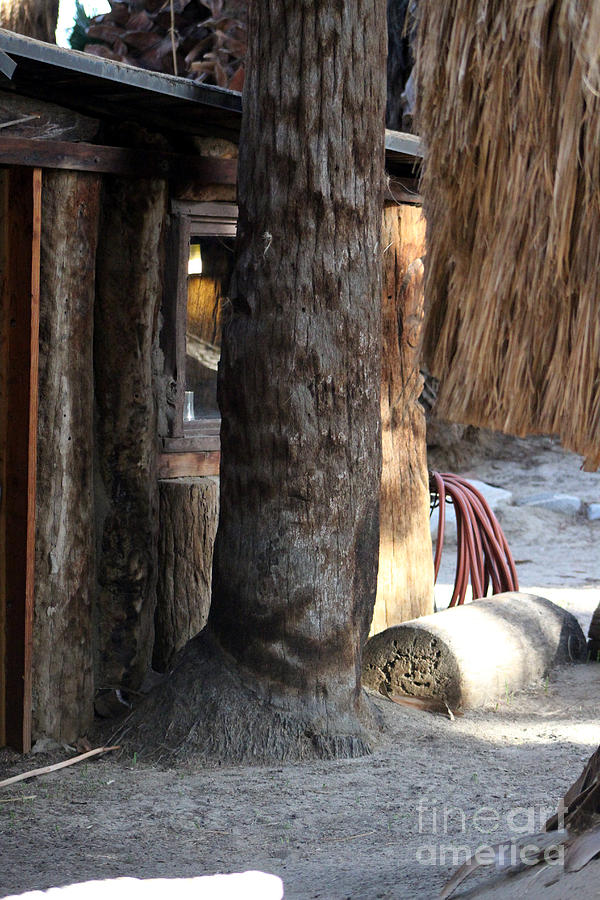 Cabin Behind Palm Trees Coachella Wildlife Preserve Photograph by Colleen Cornelius
