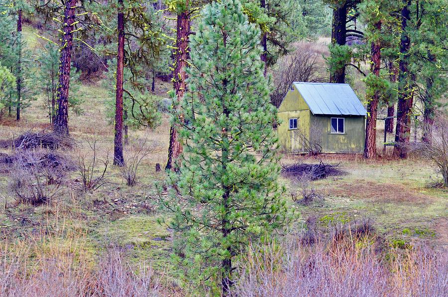 Cabin hide away Photograph by Wendy Turner - Pixels