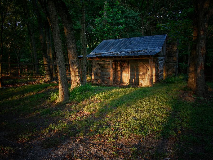 Cabin in Morning Light  Photograph by Buck Buchanan