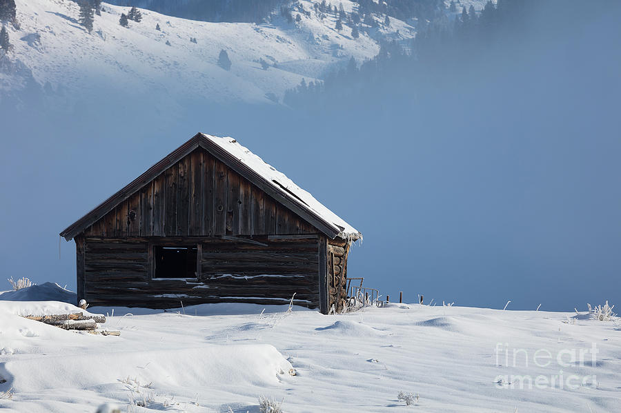 Cabin in the Mists Photograph by Idaho Scenic Images Linda Lantzy